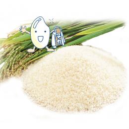 【令和5年産米】鹿児島県産　BG無洗米　なつほのか　5kg