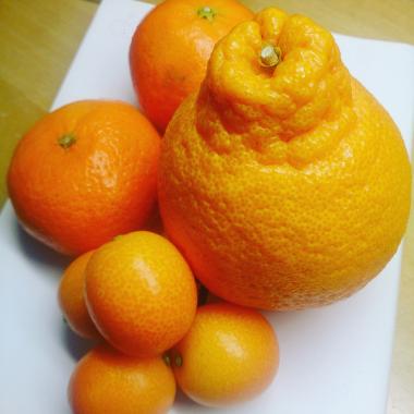 お歳暮ギフト