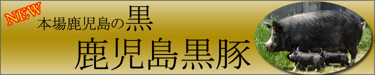 Ƃ