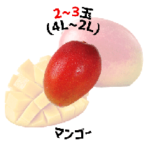 【早割5%OFF】鹿児島県産マンゴー 化粧箱入 夏ギフト (7月中旬より発送)