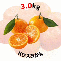 【早割5%OFF】鹿児島県産ハウスみかん 3kg (7月中旬より発送)