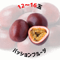 【早割5%OFF】鹿児島県産パッションフルーツ 0.9kg (7月中旬より発送)