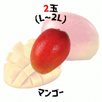 【早割5%OFF】鹿児島県産マンゴー パック入  (7月中旬より発送)