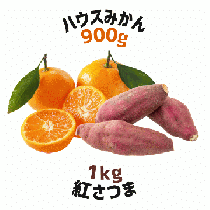 【早割5%OFF】鹿児島県産ハウスみかん・紅さつま詰合せ (7月中旬より発送)