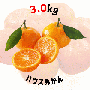 【早割5%OFF】鹿児島県産ハウスみかん 3kg (7月中旬より発送)