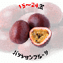 【早割5%OFF】屋久島産パッションフルーツ 1.6kg (7月中旬より発送)