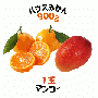 【早割5%OFF】鹿児島県産ハウスみかん・マンゴー詰合せ (7月中旬より発送)