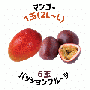 【早割5%OFF】鹿児島県産マンゴー・パッションフルーツ詰合せ (7月中旬より発送)