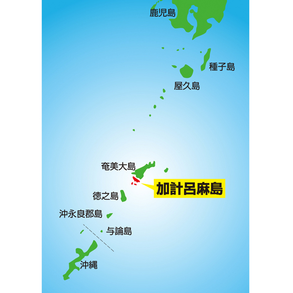 JA鹿児島県経済連「ふるさと便」 / 【奄美加計呂麻島きび酢詰合せ