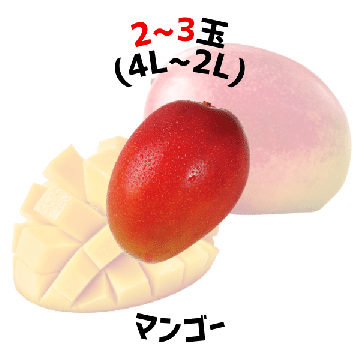【早割5%OFF】鹿児島県産マンゴー 化粧箱入 夏ギフト (7月中旬より発送)