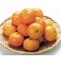 【早割5%OFF】鹿児島県産　ハウスみかん・パッションフルーツ・マンゴー詰合せ