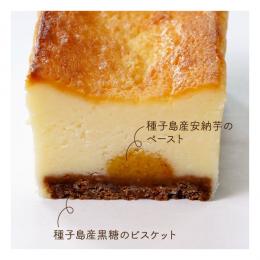 菓子処　渡辺　生枠チーズケーキ2本セット(種子島)