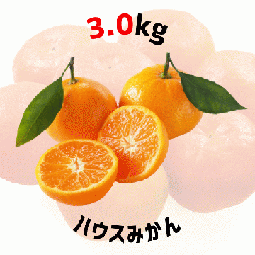 【早割5%OFF】鹿児島県産ハウスみかん 3kg (7月中旬より発送)