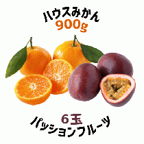 【早割5%OFF】鹿児島県産ハウスみかん・パッションフルーツ詰合せ (7月中旬より発送)