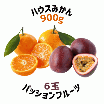 【早割5%OFF】鹿児島県産ハウスみかん・パッションフルーツ詰合せ (7月中旬より発送)