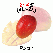 【早割5%OFF】鹿児島県産マンゴー 化粧箱入 夏ギフト (7月中旬より発送)