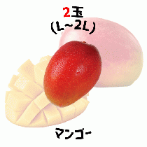 【早割5%OFF】鹿児島県産マンゴー パック入  (7月中旬より発送)