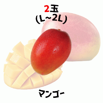 【早割5%OFF】鹿児島県産マンゴー パック入  (7月中旬より発送)