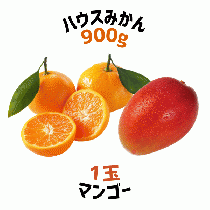 【早割5%OFF】鹿児島県産ハウスみかん・マンゴー詰合せ (7月中旬より発送)