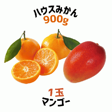 【早割5%OFF】鹿児島県産ハウスみかん・マンゴー詰合せ (7月中旬より発送)