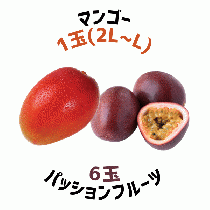 【早割5%OFF】鹿児島県産マンゴー・パッションフルーツ詰合せ (7月中旬より発送)