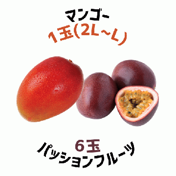 【早割5%OFF】鹿児島県産マンゴー・パッションフルーツ詰合せ (7月中旬より発送)