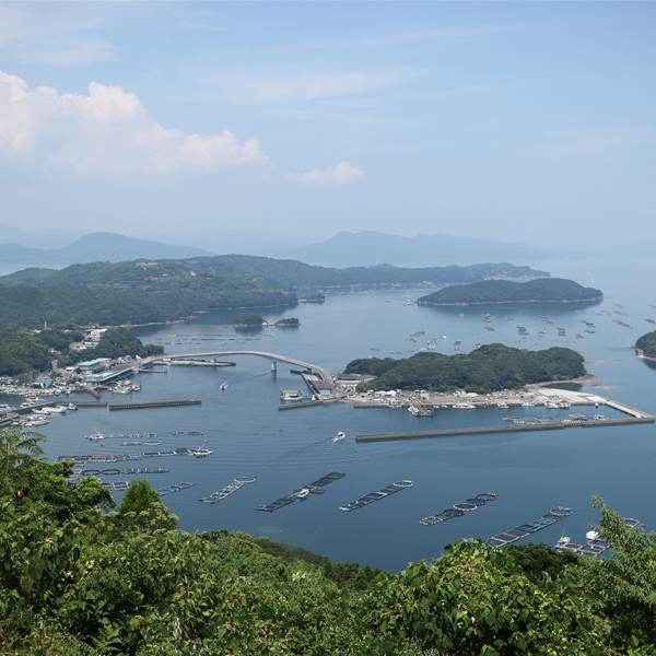 Ja鹿児島県経済連 ふるさと便 鹿児島県産 鰤王タタキ のページ