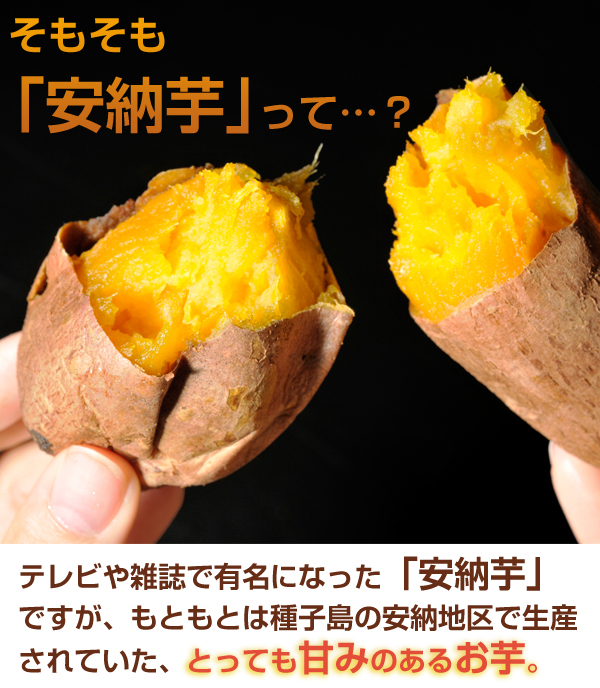 安納芋は種子島の安納地区で生産されていた、甘みの強いお芋の事です